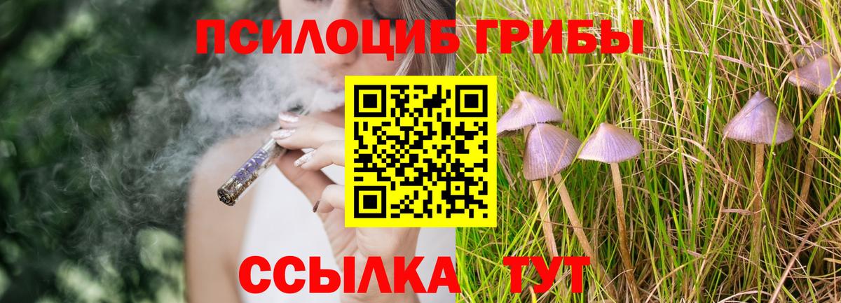 Галлюциногенные грибы мухоморы  Галлюциногенные грибы Psilocybine cubensis  Серов  Вход с VPN 